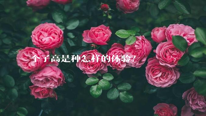 个子高是种怎样的体验？